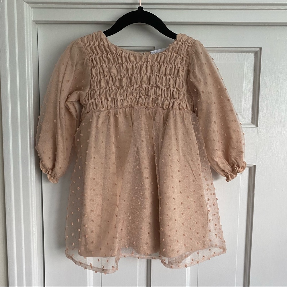Zara Pink Swiss Dot Dress